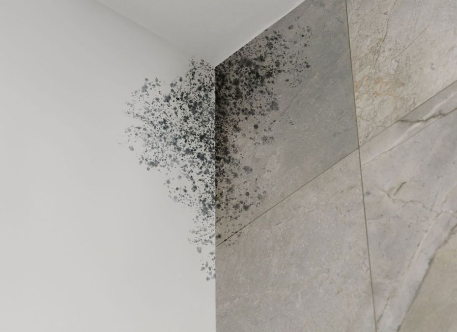 Top Contractors Emergency Restoration Contractors in Cheney, WA - Water Fire Storm Damage Restoration Specialists Serving Cheney, WA